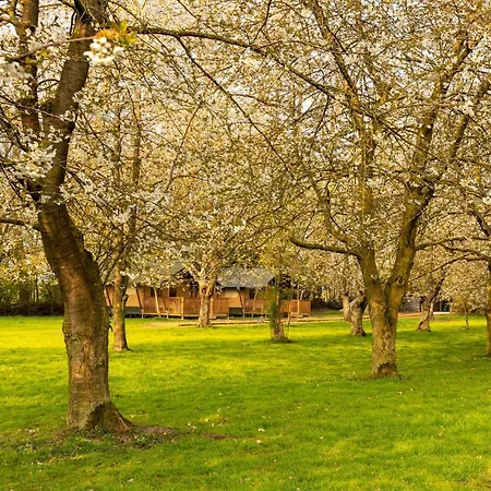 Het Rentmeestershuis Bed & Breakfast *