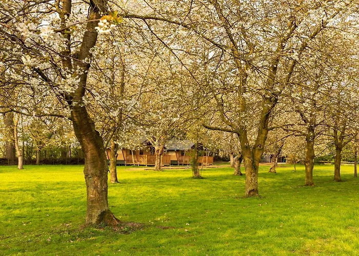 Het Rentmeestershuis Bed & Breakfast 4*