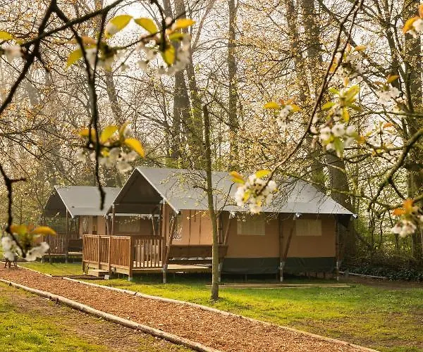 Het Rentmeestershuis Oda ve Kahvaltı Eck en Wiel