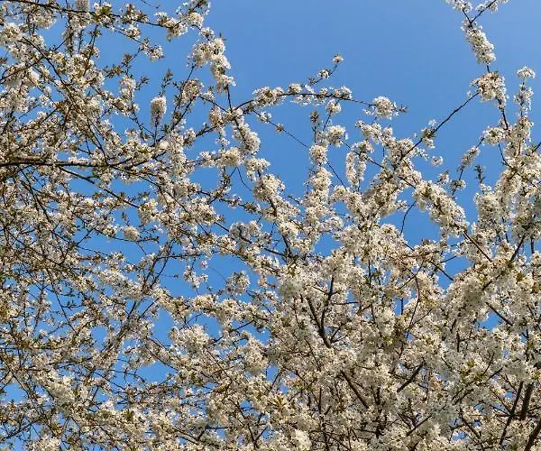 Oda ve Kahvaltı Het Rentmeestershuis Eck en Wiel